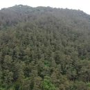 화순믿음공인중개사사무소 이미지