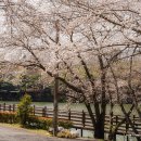 엔젤리너스 진주금호못점 이미지