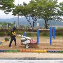 도산초등학교병설유치원 이미지