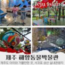 성산작은도서관 | 제주도 아이와 실내가볼만한 곳 서귀포 성산 실내관광지 제주 해양동물박물관