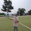 몽탄초등학교 이미지