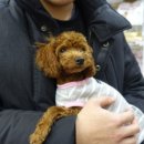 독산온동물병원 이미지