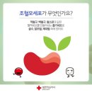 코지310 | 5년만에 다시 찾은 헌혈의집! 전북대한옥센터 후기 (+각종 혜택 상세안내까지)