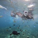 하당로 289번길 6 | 7월 : 여름 한정 집순이의 일상, 광주 맛집, 신혼 집밥