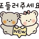 솔트 건축사사무소 이미지