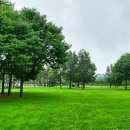 탑지 생태공원 이미지