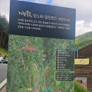 무장애숲 | 항노화힐링랜드 치유의 숲, 무장애길, 견암폭포 후기