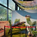 여주하늘정원 | NC백화점 강서점 "여주곤충박물관팝업스토어" 내돈내산 방문후기