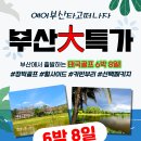 부산 출발 땡처리 특가[항공 포함] 499,000원[6박8일] 이미지