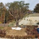 수목요양병원 이미지