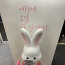 딱조아당구장 | [맛집] 디저트까지 주는 장안동맛집 맛있게 맵싹한 <조아죽네쭈꾸미>