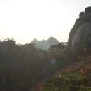 에덴동산 - 남구 | 에덴동산