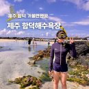 해변 | 제주 함덕 해수욕장 샤워 파라솔 제주도 서우봉 해변 후기