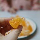 태형농장 이미지