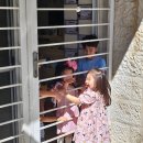 (유)준렌트카 | 요르단살이 2달차/ 10월 일상 / 요르단 맛집 / 카쇼카(KHASHOKA) / 젤란티모 / 하비바 / 쿠나파