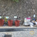 장천마을캠핑장 이미지