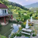 샘물하얀집 이미지