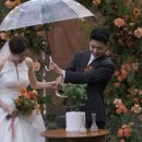 웨딩스위치 이미지