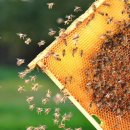 농축농장 이미지