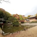 왕의 정원 이미지