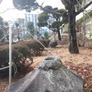 길원여자고등학교 Daum카페