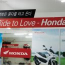 프리모터스