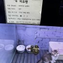 포시즌송도동물병원 네이버블로그