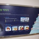 [정보글] 백내장 렌즈의 모든 것, 인공수정체 렌즈 종류 - 1