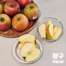 더엔비헤어 | 양구 엔비사과 새콤달콤한 꿀사과 아이엠프릇