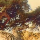 정천중학교 이미지