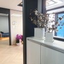 뜨라내움 이미지