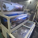 대원대게센터 이미지