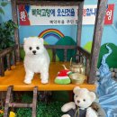 삐약네 새참 이미지