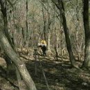 꿈의 비행 이미지