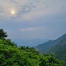 영남흑염소