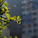 금호동주민자치센터 이미지