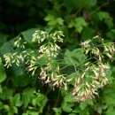 나래민박 이미지