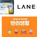 에이엔컴퍼니