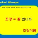 장세살연구소