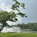 대신중고교 | 부동산 초보 신혼부부의 5-6억대 동탄 아파트 임장후기
