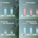 한국청소년행복연구소 서울신문