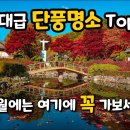 10월에 가볼만한 단풍 명소 5곳 추천해 드립니다. 이미지