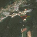대청산림개발