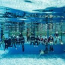 용운국제수영장 이미지