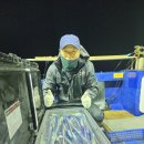 사직점 현대자동차 이미지