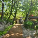 강강술레식사(2026.05.14)후뒤산산책 이미지