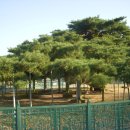 예천온천 이미지