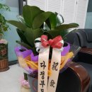 원탑공인중개사사무소 이미지