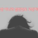 지앤영