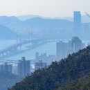 해운대에 올라 이미지